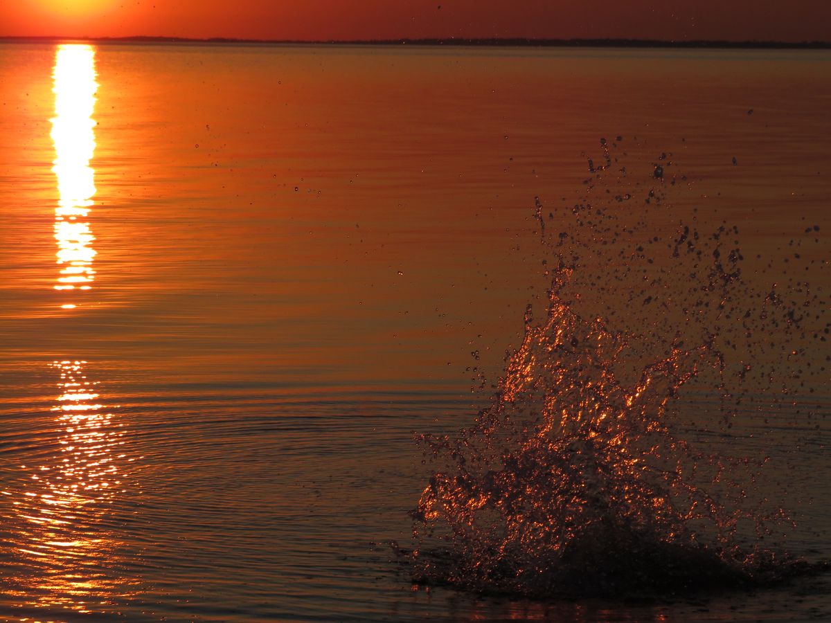 Experiente mit Stein und Sonnenuntergang